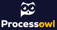 Process Owl Logo V2